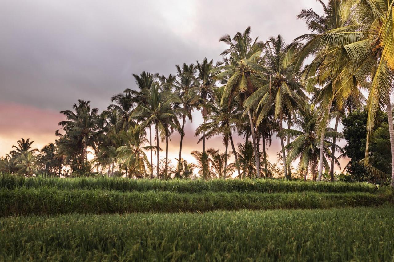 The Luxe Ubud Ngoại thất bức ảnh