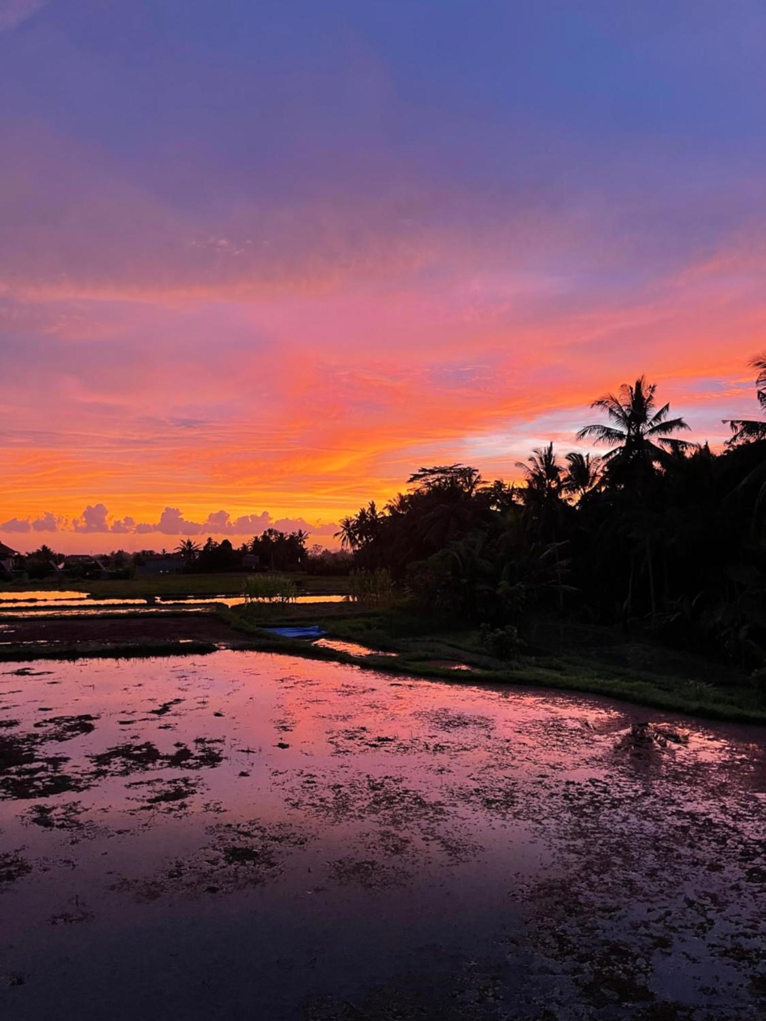 The Luxe Ubud Ngoại thất bức ảnh